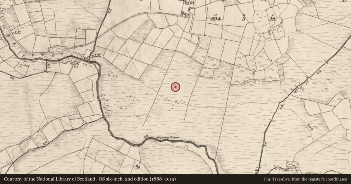 Ordnance Survey six-inch map, 2nd edition (1888–1915) covering the location of Enclosure, Carran, County Kerry, with a pin at the register's coordinates