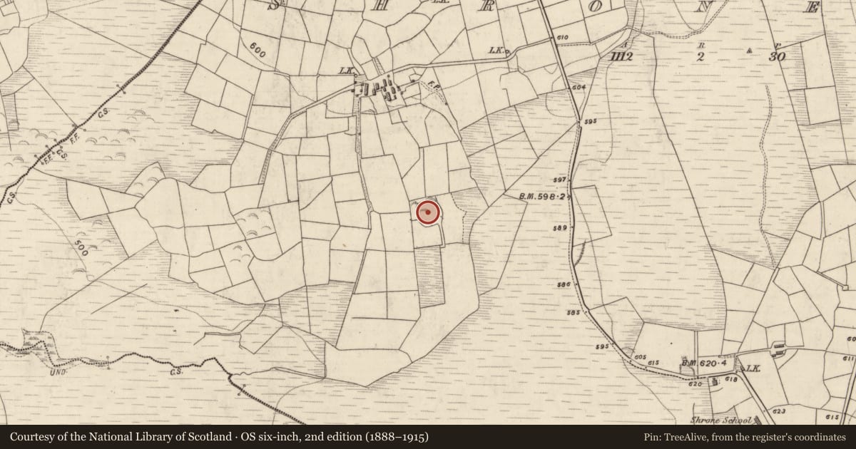 Ordnance Survey six-inch map, 2nd edition (1888–1915) covering the location of Ringfort - rath, Shrone Beg, County Kerry, with a pin at the register's coordinates