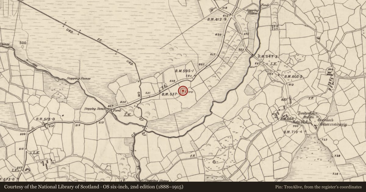 Ordnance Survey six-inch map, 2nd edition (1888–1915) covering the location of Ringfort - rath, Shrone Beg, County Kerry, with a pin at the register's coordinates