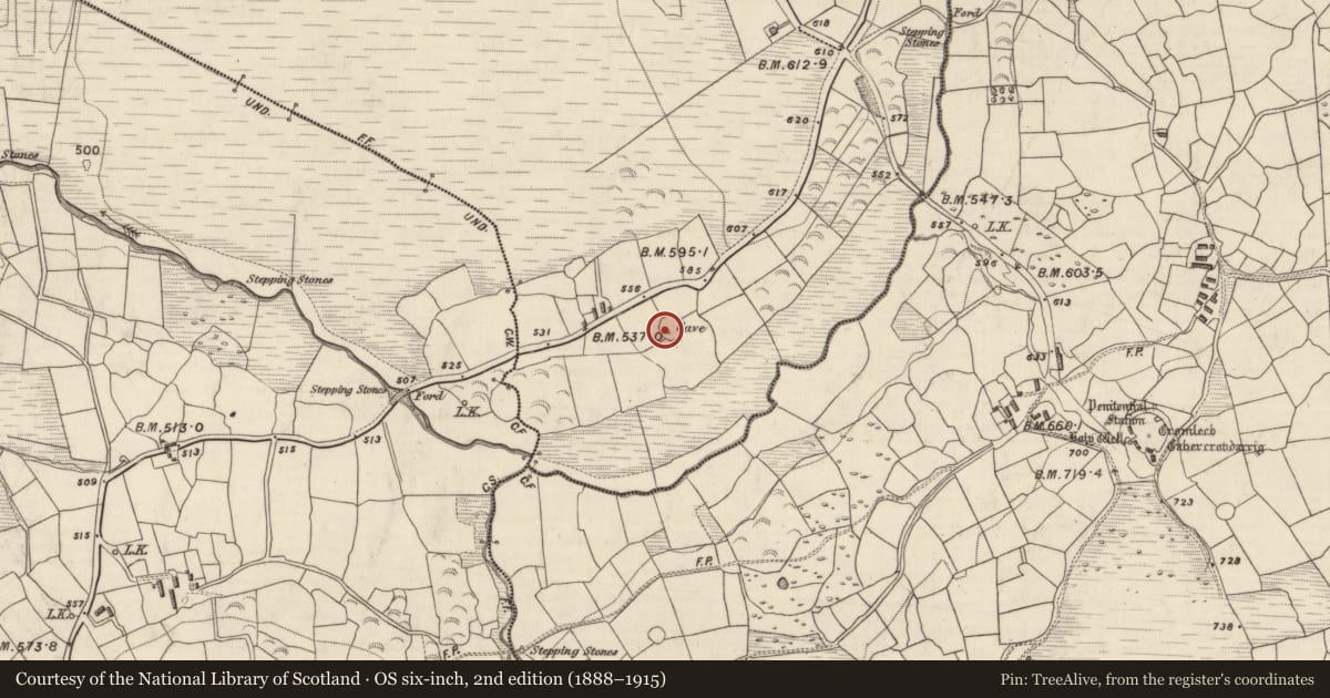 Ordnance Survey six-inch map, 2nd edition (1888–1915) covering the location of Souterrain, Shrone Beg, County Kerry, with a pin at the register's coordinates