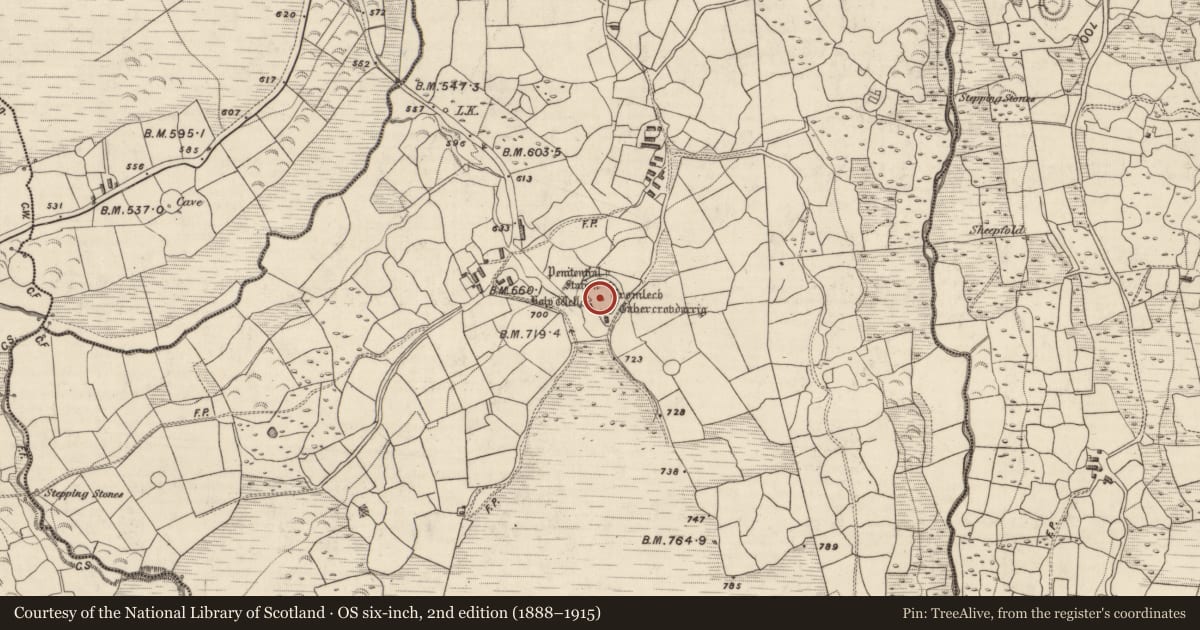 Ordnance Survey six-inch map, 2nd edition (1888–1915) covering the location of Standing stone, Gortnagane, County Kerry, with a pin at the register's coordinates
