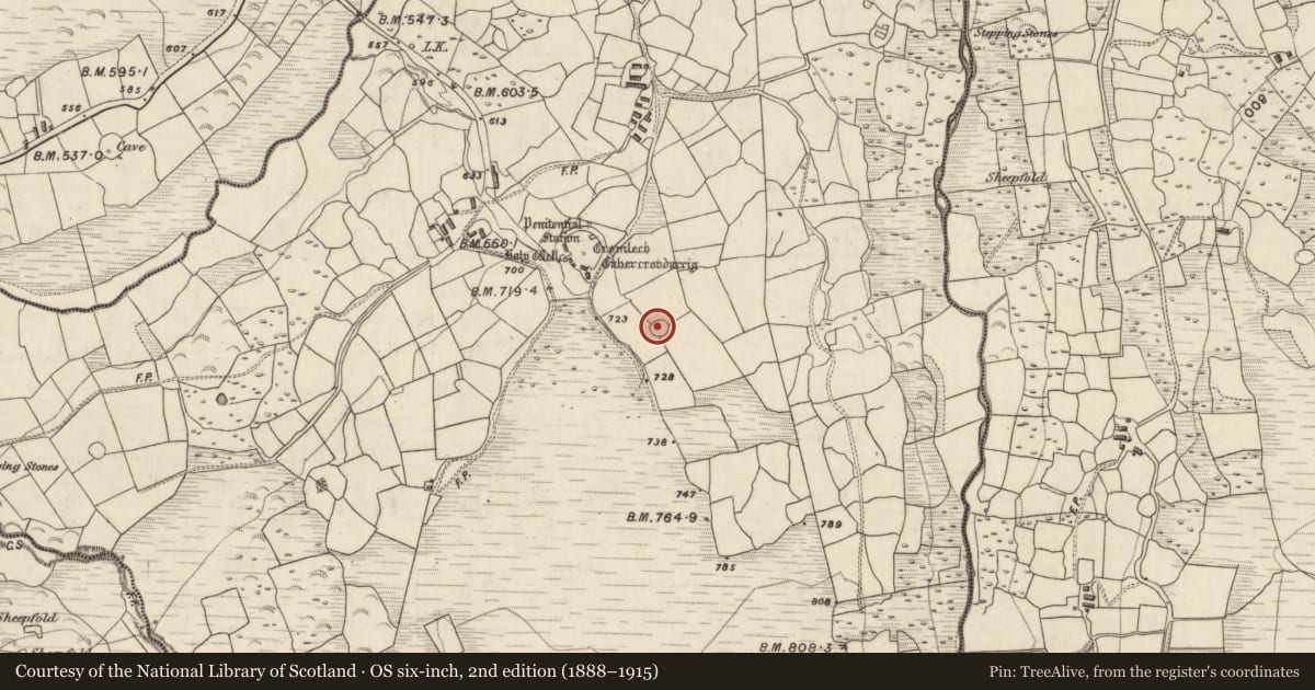 Ordnance Survey six-inch map, 2nd edition (1888–1915) covering the location of Ringfort - cashel, Gortnagane, County Kerry, with a pin at the register's coordinates