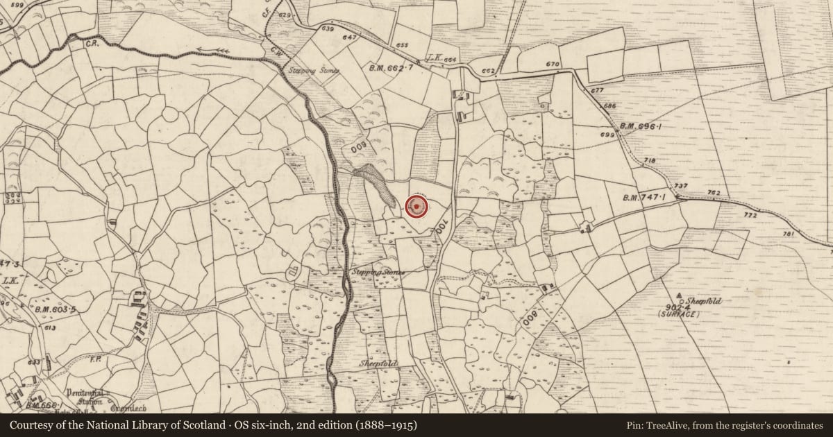 Ordnance Survey six-inch map, 2nd edition (1888–1915) covering the location of Ringfort - rath, Shrone More, County Kerry, with a pin at the register's coordinates