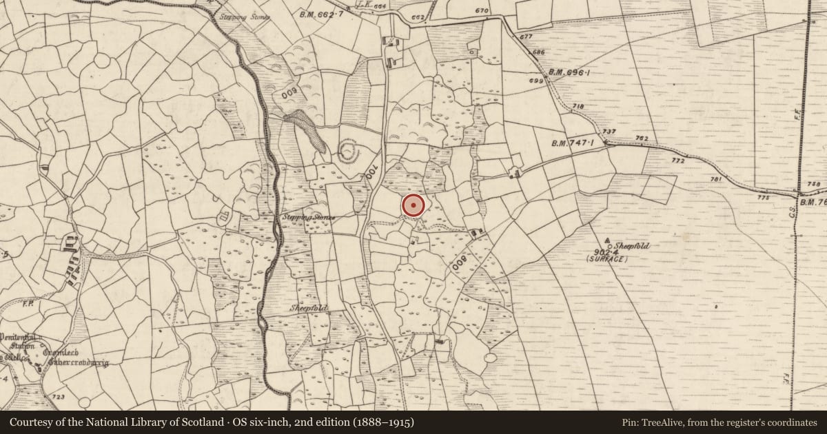 Ordnance Survey six-inch map, 2nd edition (1888–1915) covering the location of Enclosure, Shrone More, County Kerry, with a pin at the register's coordinates