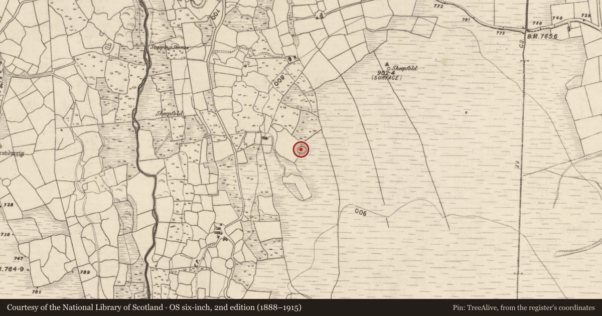 Ordnance Survey six-inch map, 2nd edition (1888–1915) covering the location of Enclosure, Shrone More, County Kerry, with a pin at the register's coordinates