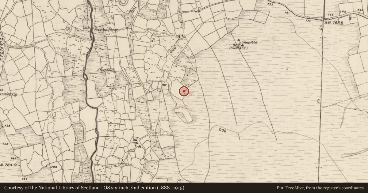 Ordnance Survey six-inch map, 2nd edition (1888–1915) covering the location of Hut site, Shrone More, County Kerry, with a pin at the register's coordinates