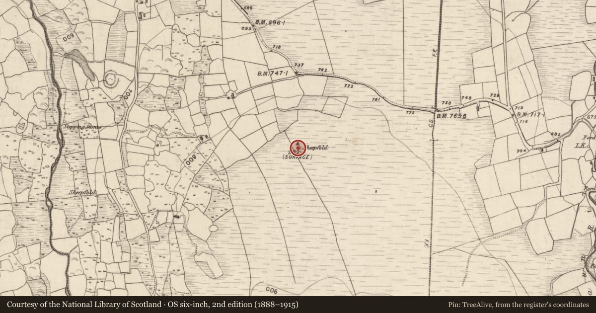 Ordnance Survey six-inch map, 2nd edition (1888–1915) covering the location of Hut site, Shrone More, County Kerry, with a pin at the register's coordinates