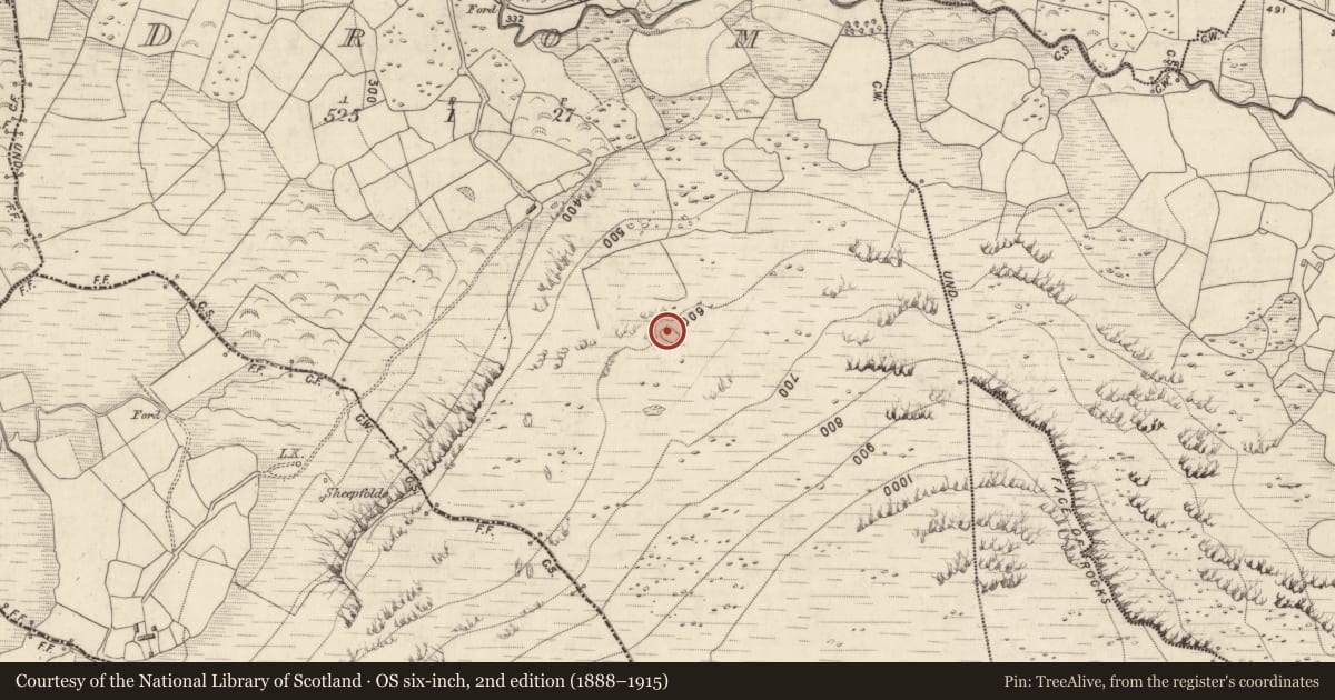Ordnance Survey six-inch map, 2nd edition (1888–1915) covering the location of Enclosure, Drom, County Kerry, with a pin at the register's coordinates