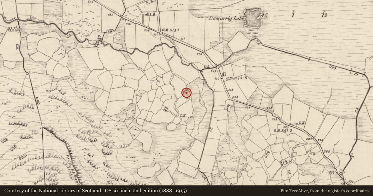Ordnance Survey six-inch map, 2nd edition (1888–1915) covering the location of Ringfort - rath, Doocarrig Beg, County Kerry, with a pin at the register's coordinates