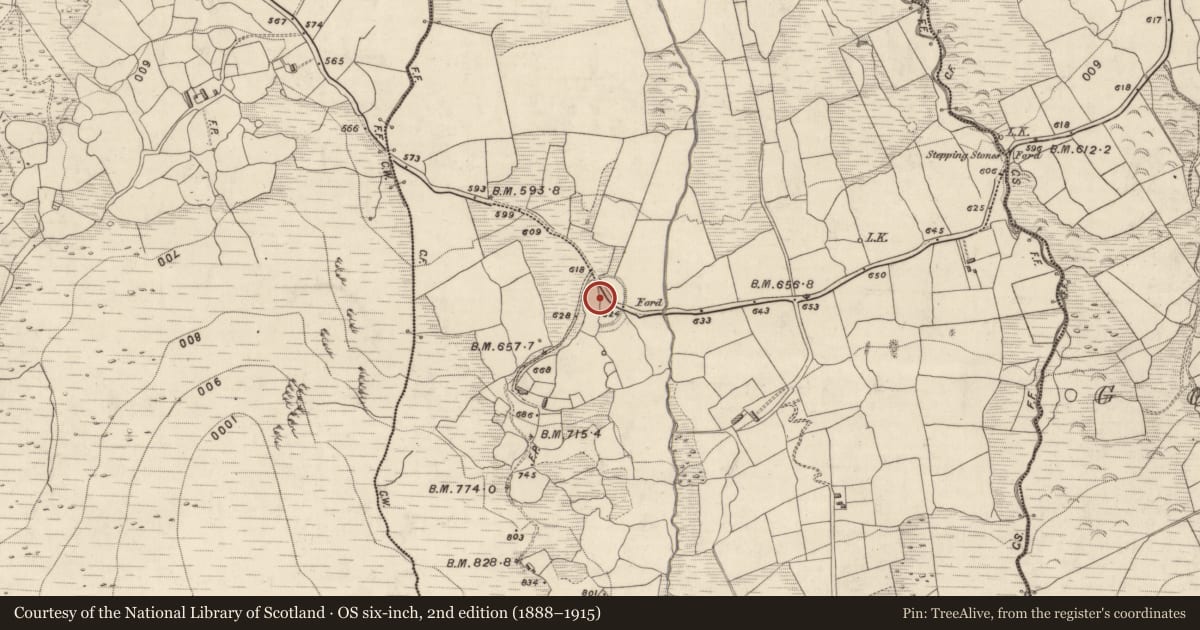 Ordnance Survey six-inch map, 2nd edition (1888–1915) covering the location of Ringfort - rath, Gortacareen, County Kerry, with a pin at the register's coordinates