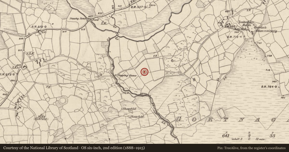 Ordnance Survey six-inch map, 2nd edition (1888–1915) covering the location of Ringfort - cashel, Gortnagane, County Kerry, with a pin at the register's coordinates