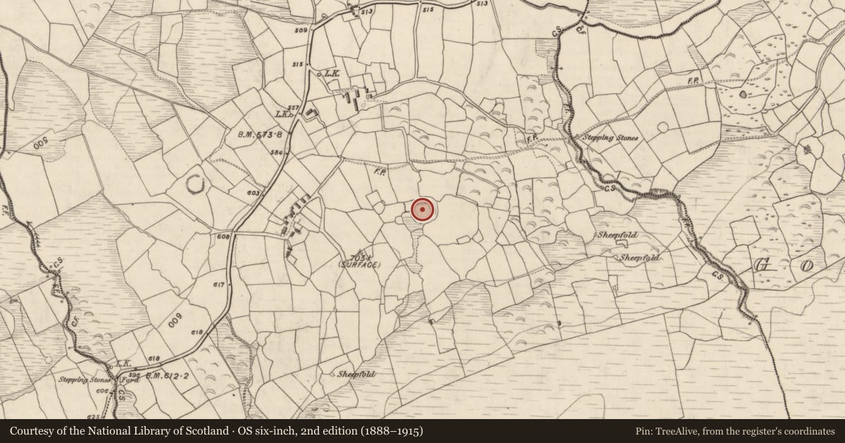 Ordnance Survey six-inch map, 2nd edition (1888–1915) covering the location of Ringfort - rath, Gortderrig, County Kerry, with a pin at the register's coordinates