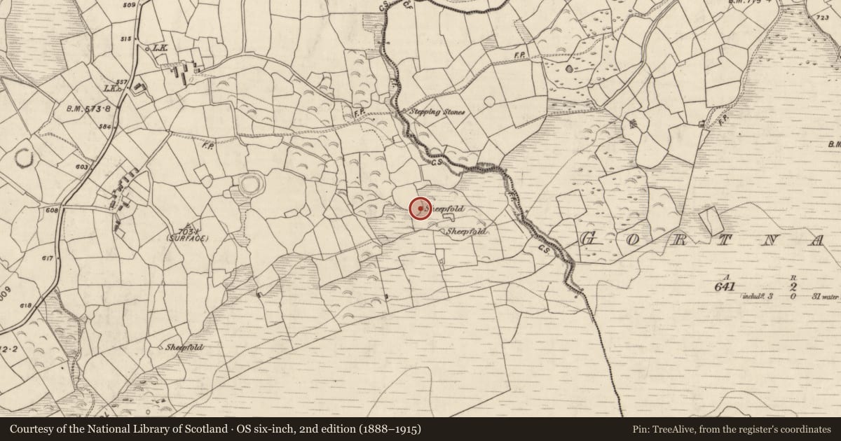 Ordnance Survey six-inch map, 2nd edition (1888–1915) covering the location of Enclosure, Gortderrig, County Kerry, with a pin at the register's coordinates