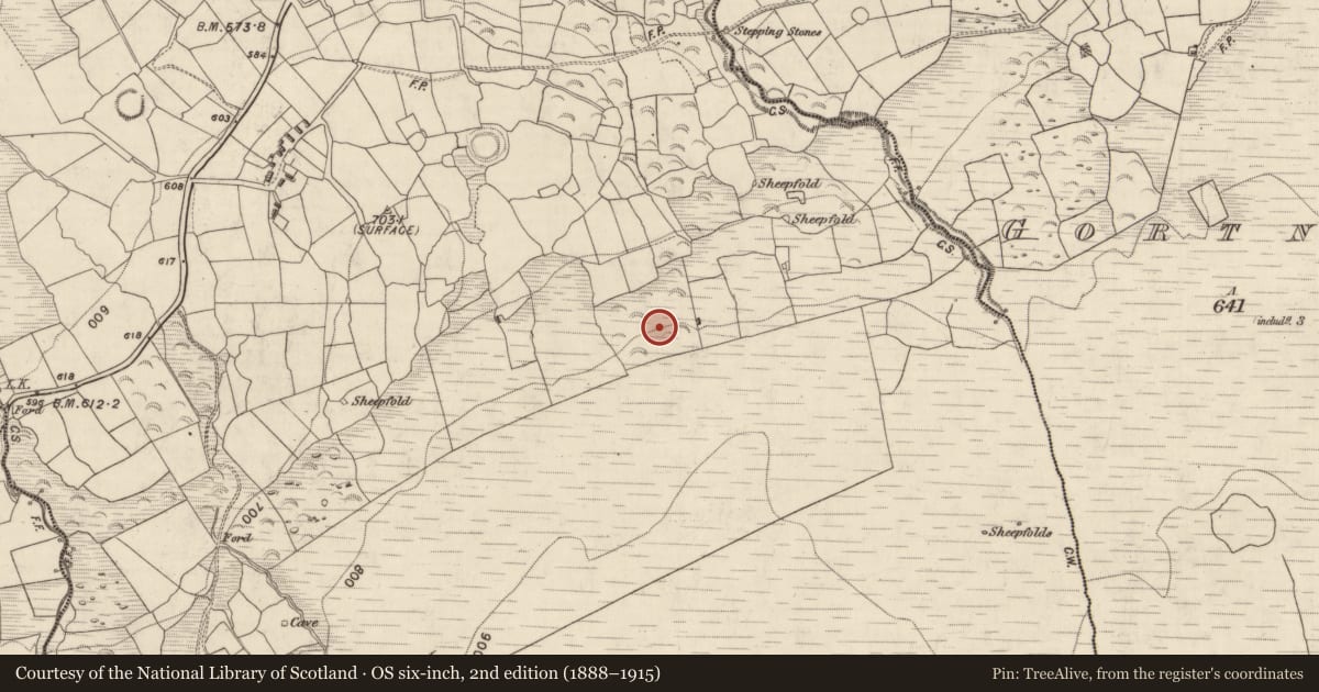 Ordnance Survey six-inch map, 2nd edition (1888–1915) covering the location of Enclosure, Gortderrig, County Kerry, with a pin at the register's coordinates