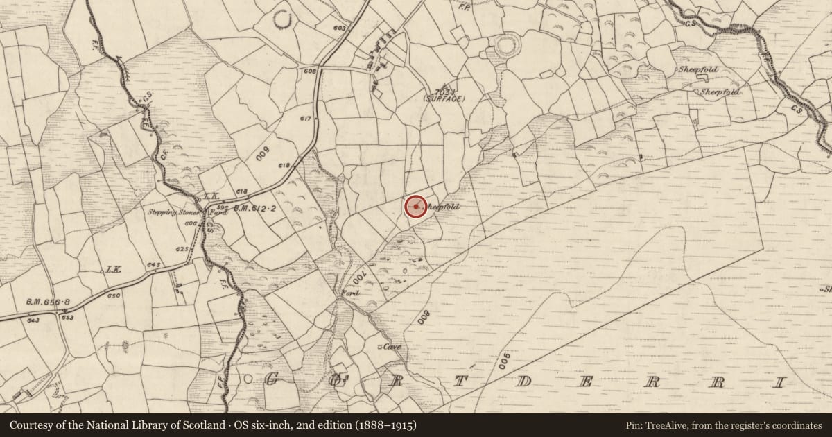 Ordnance Survey six-inch map, 2nd edition (1888–1915) covering the location of Enclosure, Gortderrig, County Kerry, with a pin at the register's coordinates
