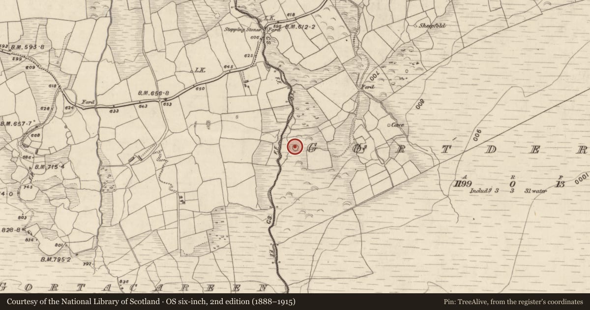 Ordnance Survey six-inch map, 2nd edition (1888–1915) covering the location of Ringfort - cashel, Gortderrig, County Kerry, with a pin at the register's coordinates