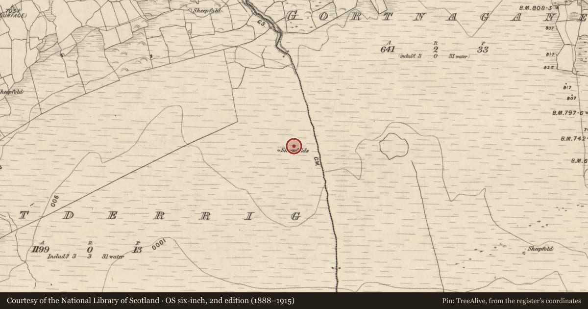 Ordnance Survey six-inch map, 2nd edition (1888–1915) covering the location of Hut site, Gortderrig, County Kerry, with a pin at the register's coordinates