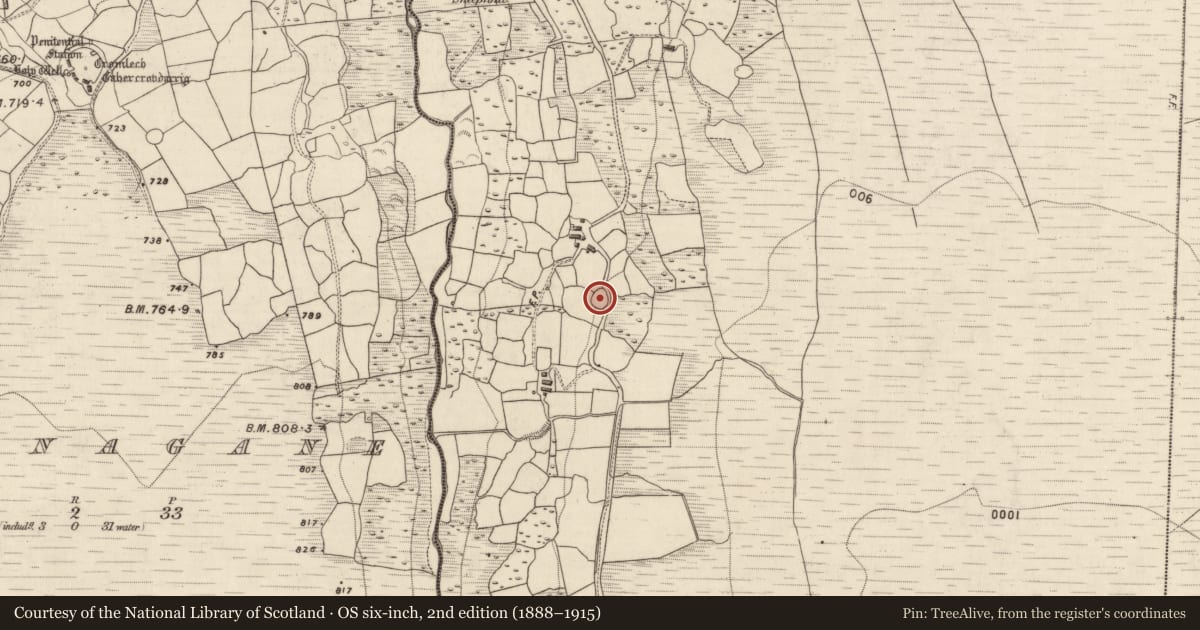 Ordnance Survey six-inch map, 2nd edition (1888–1915) covering the location of Ringfort - cashel, Shrone More, County Kerry, with a pin at the register's coordinates