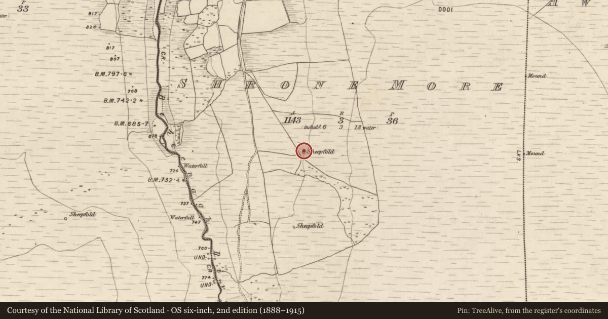 Ordnance Survey six-inch map, 2nd edition (1888–1915) covering the location of Enclosure, Shrone More, County Kerry, with a pin at the register's coordinates