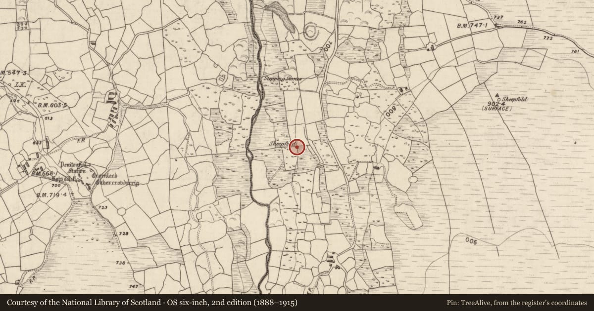 Ordnance Survey six-inch map, 2nd edition (1888–1915) covering the location of Hut site, Shrone More, County Kerry, with a pin at the register's coordinates