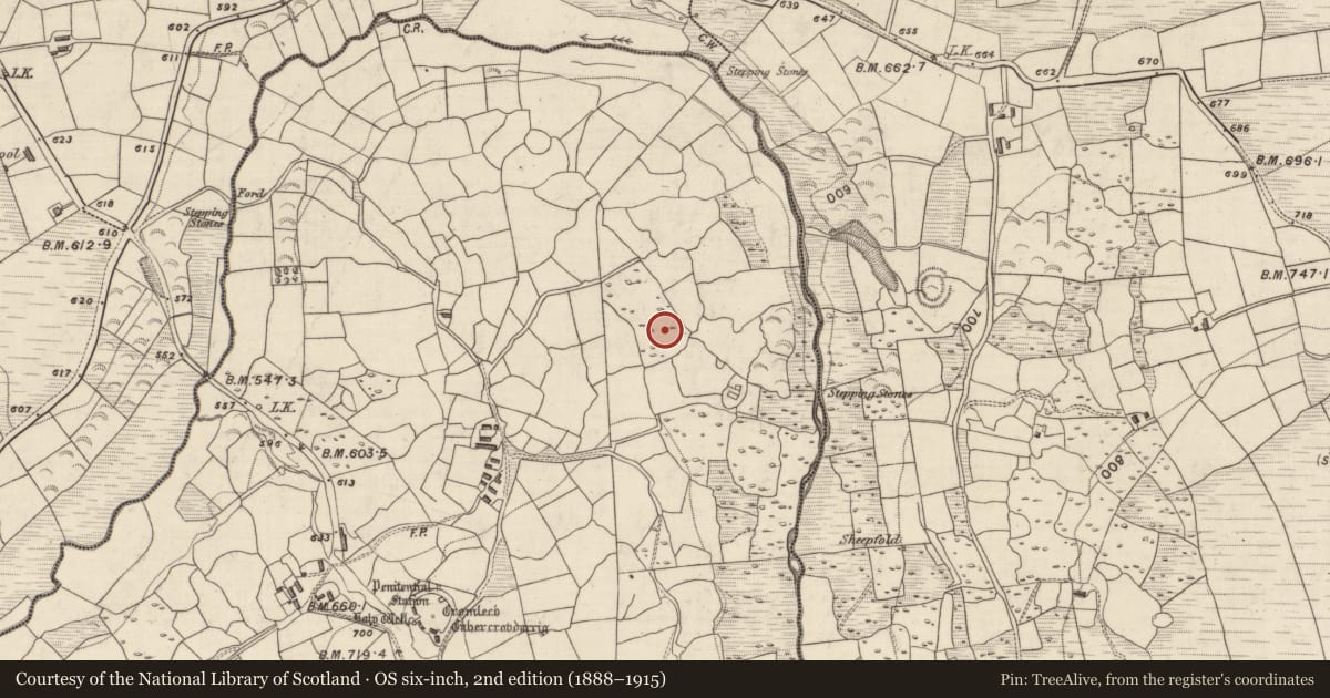 Ordnance Survey six-inch map, 2nd edition (1888–1915) covering the location of School, Gortnagane, County Kerry, with a pin at the register's coordinates