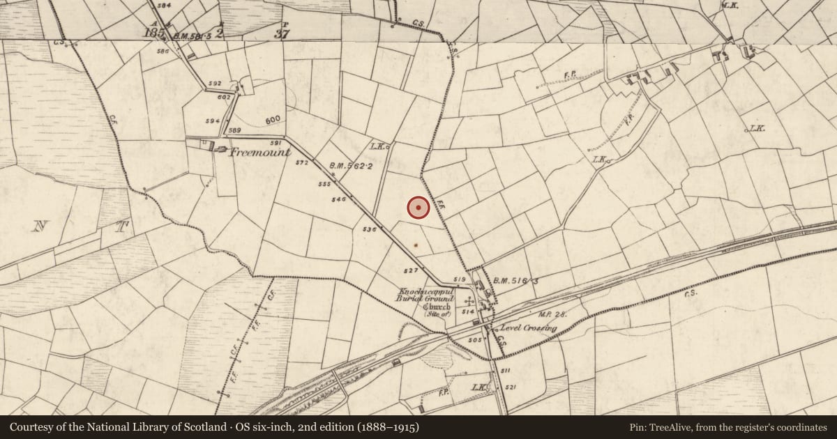Ordnance Survey six-inch map, 2nd edition (1888–1915) covering the location of Fulacht fia, Freemount, County Kerry, with a pin at the register's coordinates