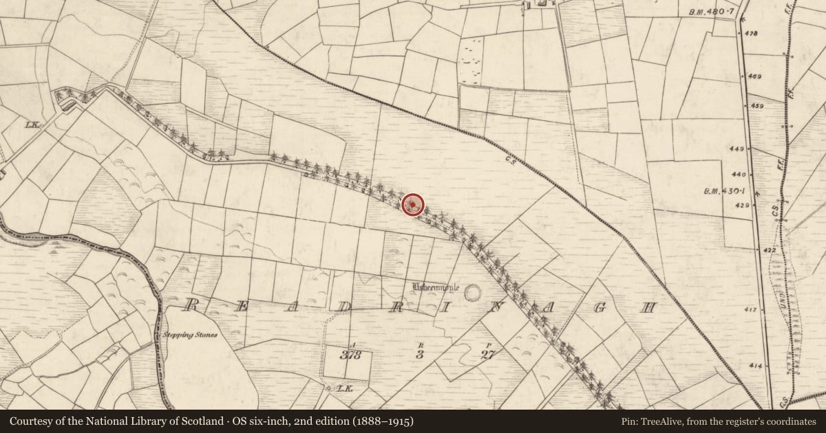 Ordnance Survey six-inch map, 2nd edition (1888–1915) covering the location of Stone circle - multiple-stone, Readrinagh, County Kerry, with a pin at the register's coordinates