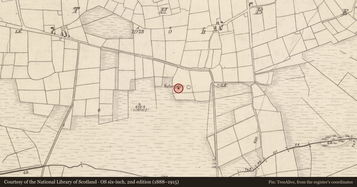 Ordnance Survey six-inch map, 2nd edition (1888–1915) covering the location of Standing stone, Rath Beg, County Kerry, with a pin at the register's coordinates