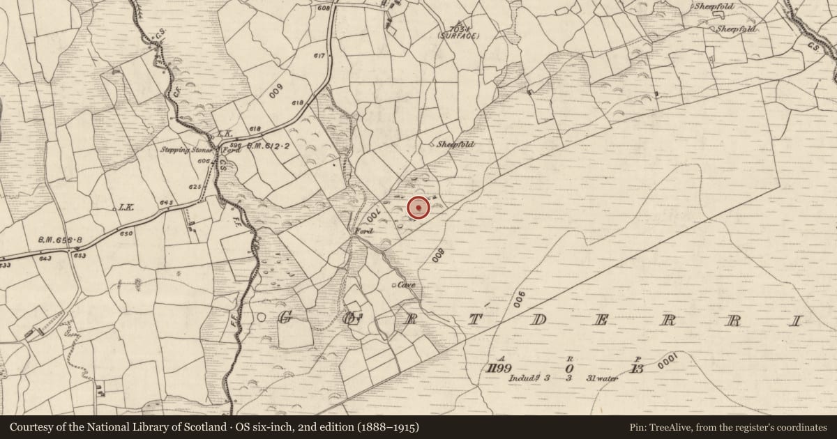 Ordnance Survey six-inch map, 2nd edition (1888–1915) covering the location of Hut site, Gortderrig, County Kerry, with a pin at the register's coordinates