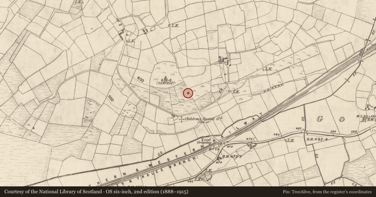 Ordnance Survey six-inch map, 2nd edition (1888–1915) covering the location of Ringfort - rath, Stagmount, County Kerry, with a pin at the register's coordinates