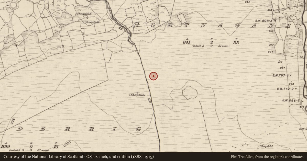 Ordnance Survey six-inch map, 2nd edition (1888–1915) covering the location of Hut site, Gortnagane, County Kerry, with a pin at the register's coordinates