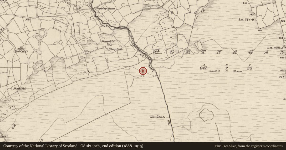 Ordnance Survey six-inch map, 2nd edition (1888–1915) covering the location of Hut site, Gortderrig, County Kerry, with a pin at the register's coordinates