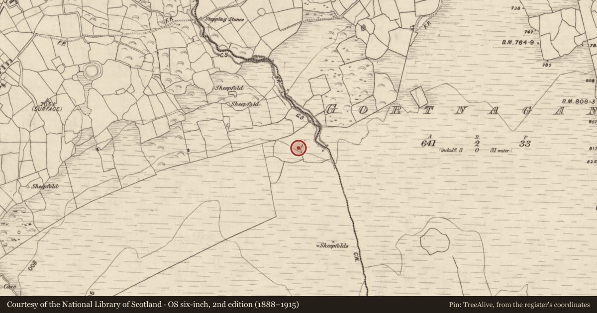 Ordnance Survey six-inch map, 2nd edition (1888–1915) covering the location of Hut site, Gortderrig, County Kerry, with a pin at the register's coordinates