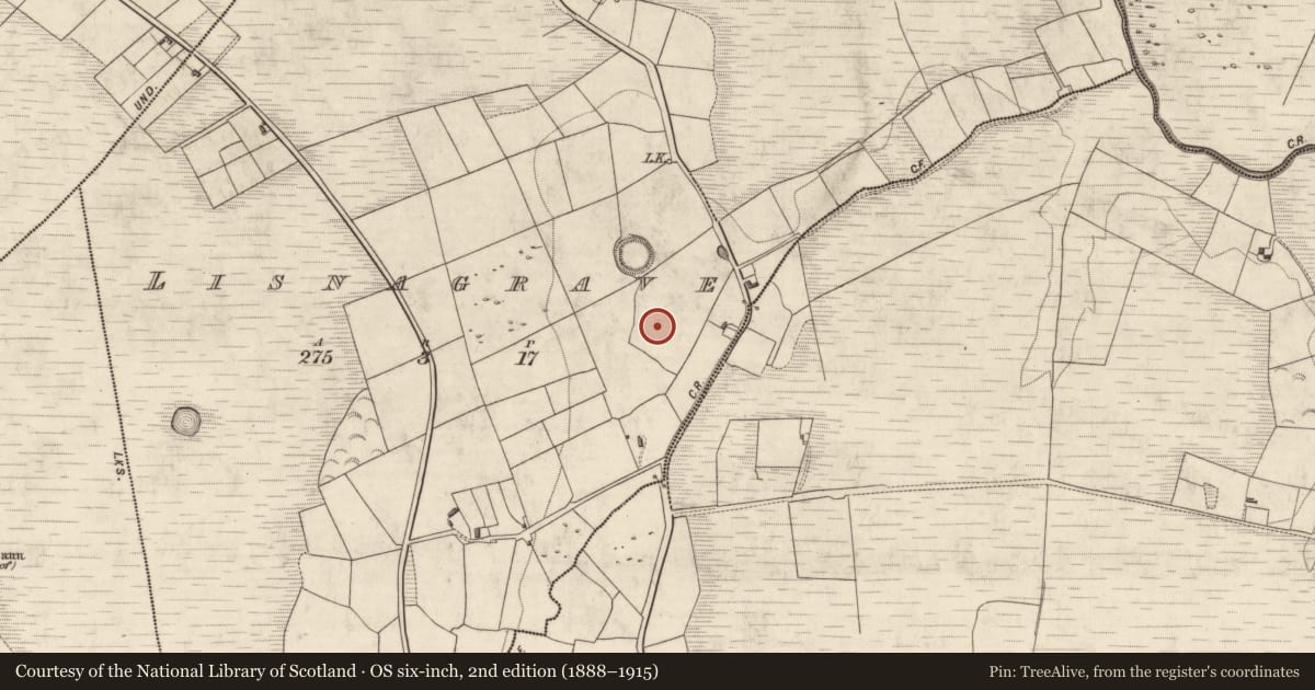 Ordnance Survey six-inch map, 2nd edition (1888–1915) covering the location of Stone row, Lisnagrave, County Kerry, with a pin at the register's coordinates