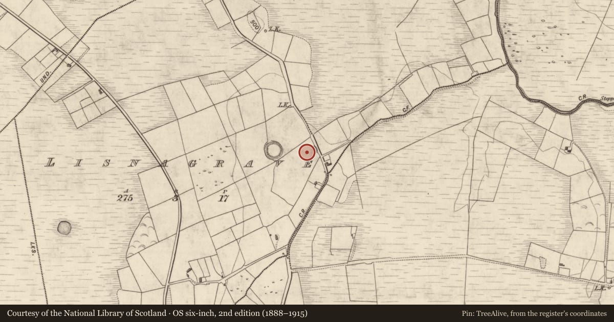 Ordnance Survey six-inch map, 2nd edition (1888–1915) covering the location of Standing stone - pair, Lisnagrave, County Kerry, with a pin at the register's coordinates