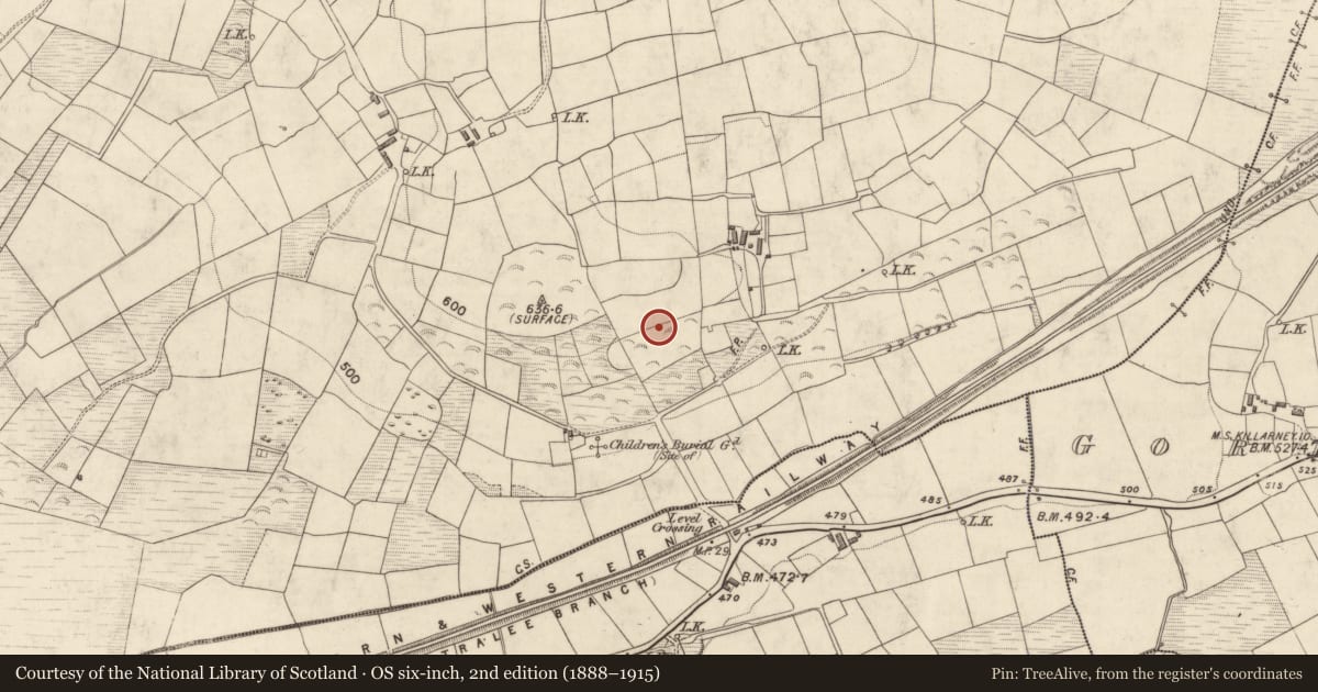 Ordnance Survey six-inch map, 2nd edition (1888–1915) covering the location of Ringfort - rath, Stagmount, County Kerry, with a pin at the register's coordinates