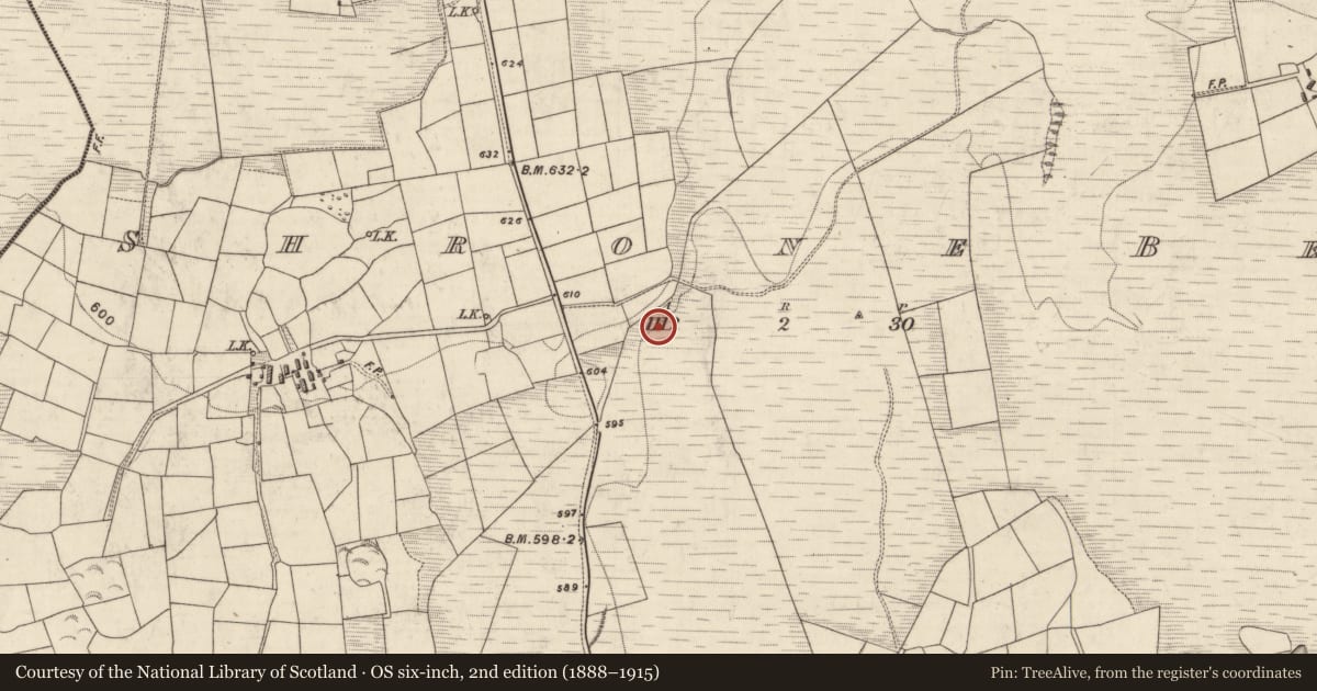 Ordnance Survey six-inch map, 2nd edition (1888–1915) covering the location of Mass-rock, Shrone Beg, County Kerry, with a pin at the register's coordinates