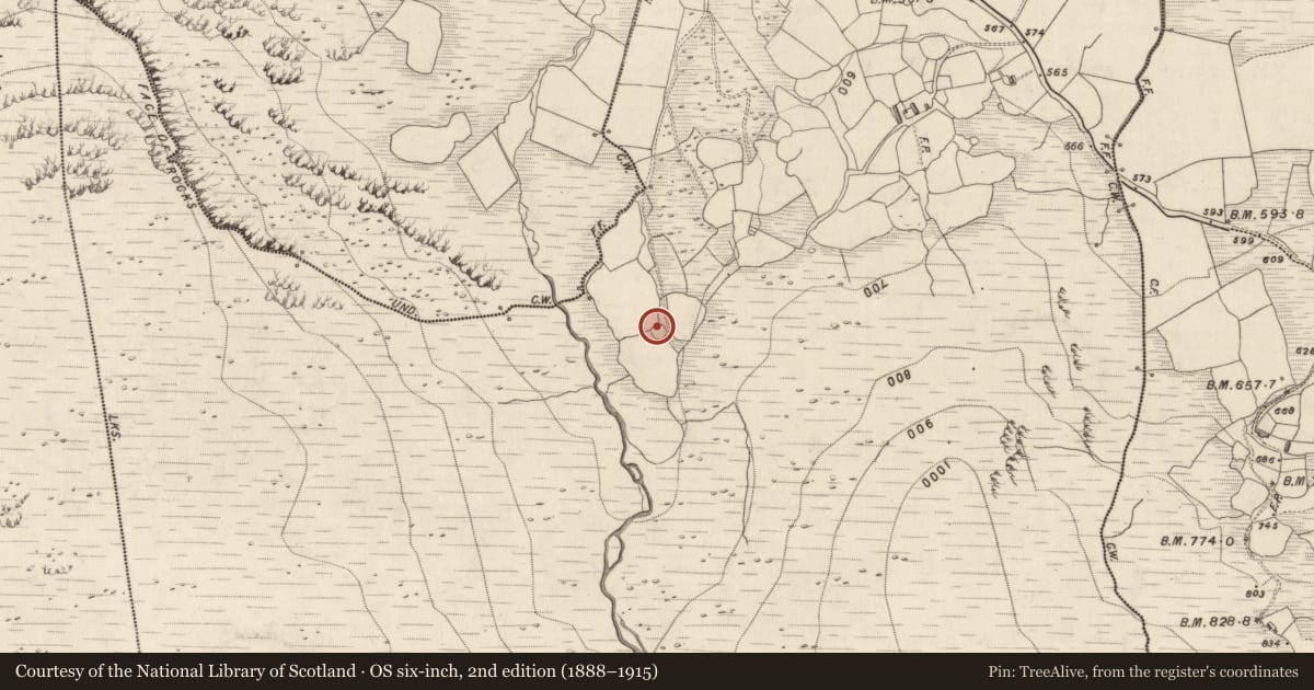 Ordnance Survey six-inch map, 2nd edition (1888–1915) covering the location of Ringfort - cashel, Doocarrig More, County Kerry, with a pin at the register's coordinates