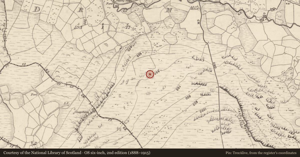 Ordnance Survey six-inch map, 2nd edition (1888–1915) covering the location of Mass-rock, Drom, County Kerry, with a pin at the register's coordinates