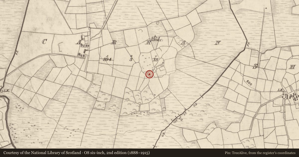 Ordnance Survey six-inch map, 2nd edition (1888–1915) covering the location of Enclosure, Carran, County Kerry, with a pin at the register's coordinates