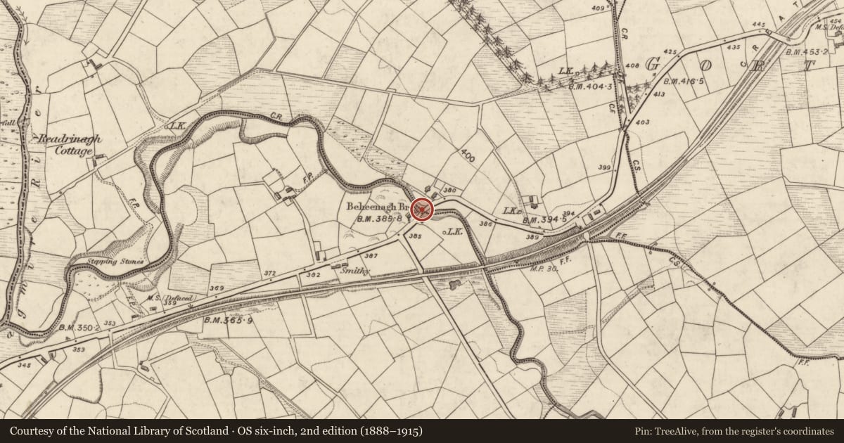 Ordnance Survey six-inch map, 2nd edition (1888–1915) covering the location of Bridge, Kilquane, Readrinagh, County Kerry, with a pin at the register's coordinates