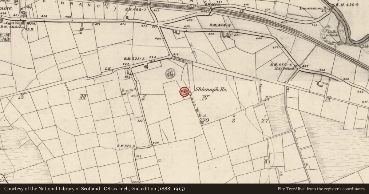 Ordnance Survey six-inch map, 2nd edition (1888–1915) covering the location of Country house, Shinnagh, County Kerry, with a pin at the register's coordinates