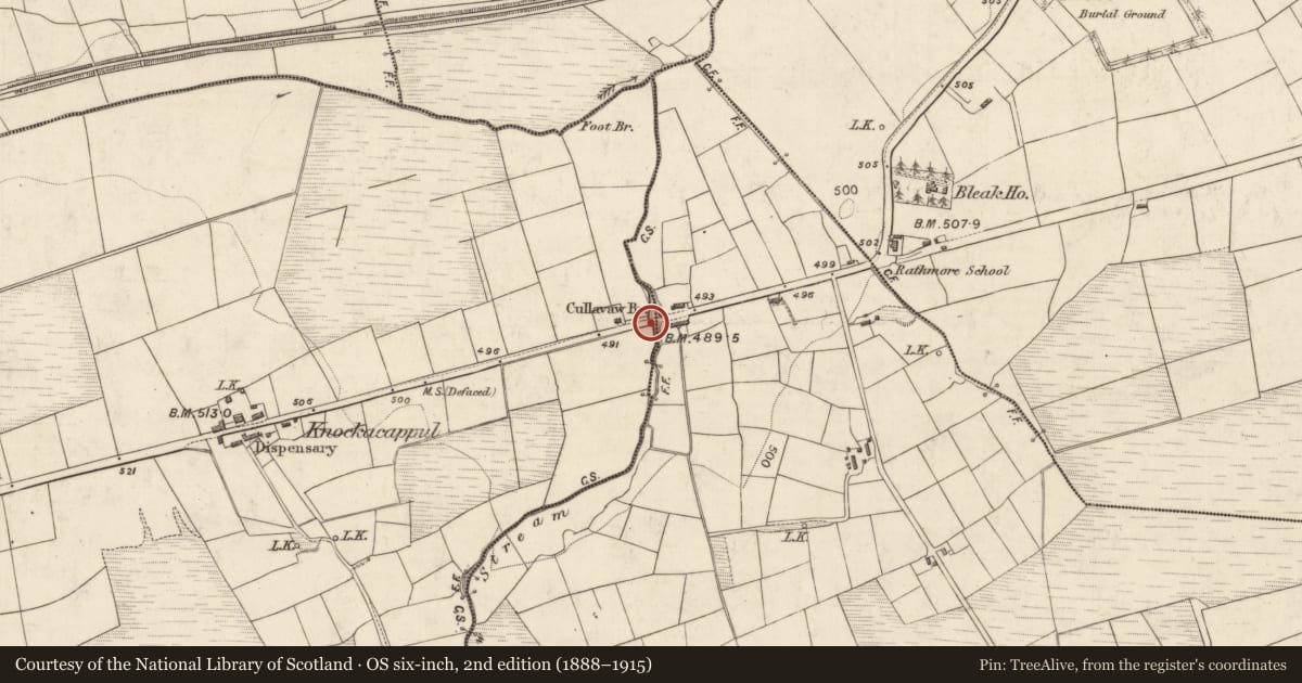 Ordnance Survey six-inch map, 2nd edition (1888–1915) covering the location of Bridge, Gortanahaneboy East, Rath Beg, County Kerry, with a pin at the register's coordinates