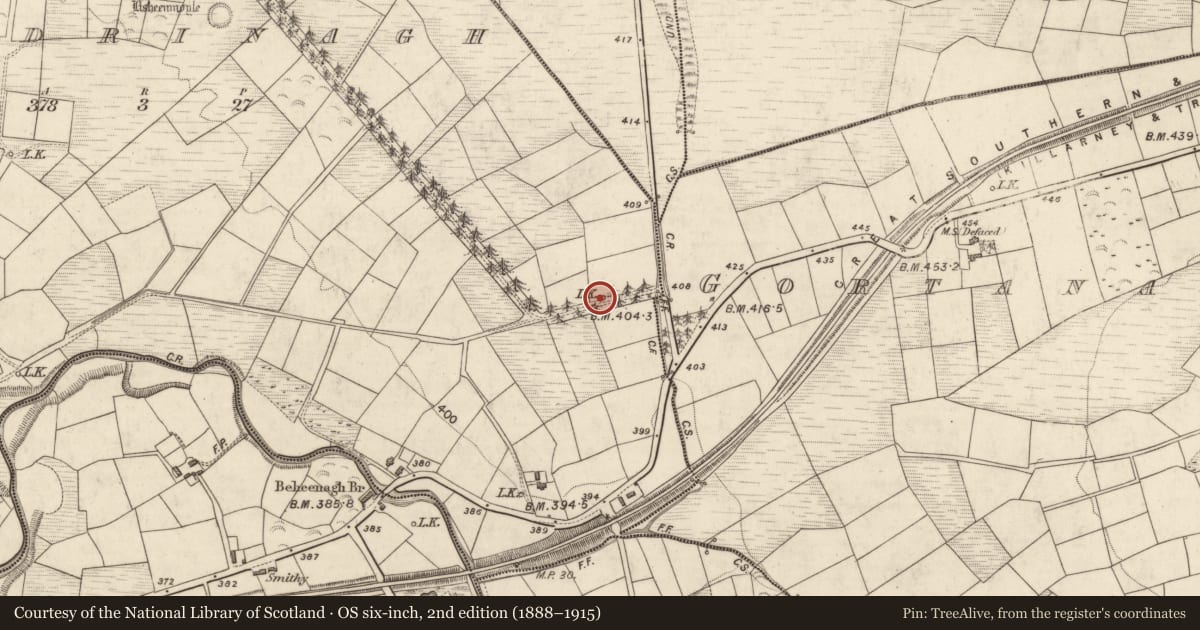 Ordnance Survey six-inch map, 2nd edition (1888–1915) covering the location of Kiln - lime, Readrinagh, County Kerry, with a pin at the register's coordinates