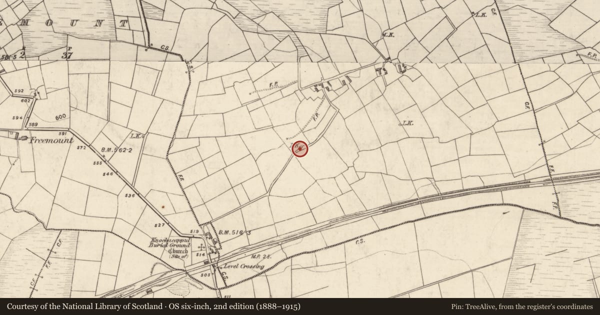 Ordnance Survey six-inch map, 2nd edition (1888–1915) covering the location of Kiln - lime, Knockacappul, County Kerry, with a pin at the register's coordinates