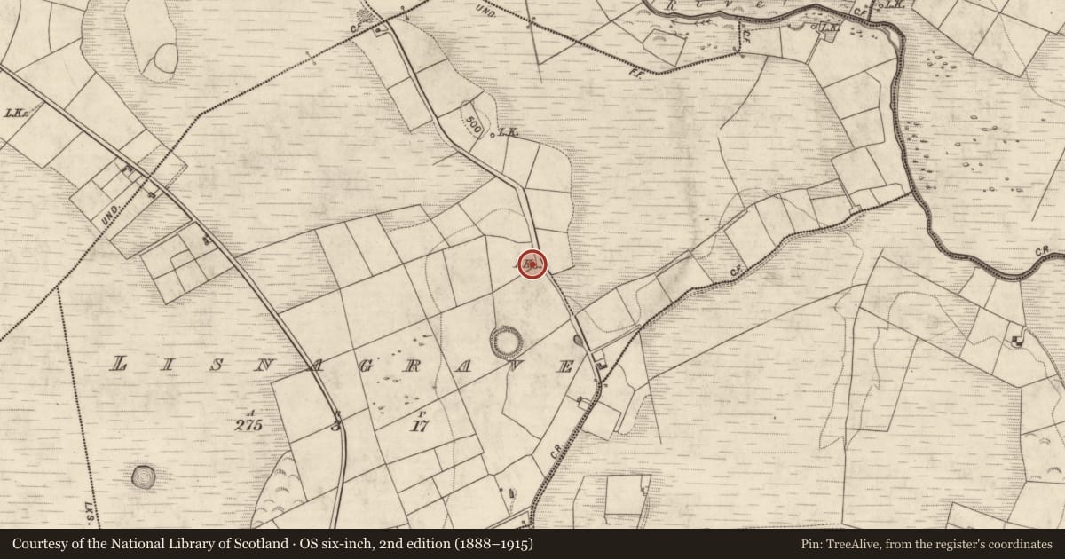 Ordnance Survey six-inch map, 2nd edition (1888–1915) covering the location of Kiln - lime, Lisnagrave, County Kerry, with a pin at the register's coordinates