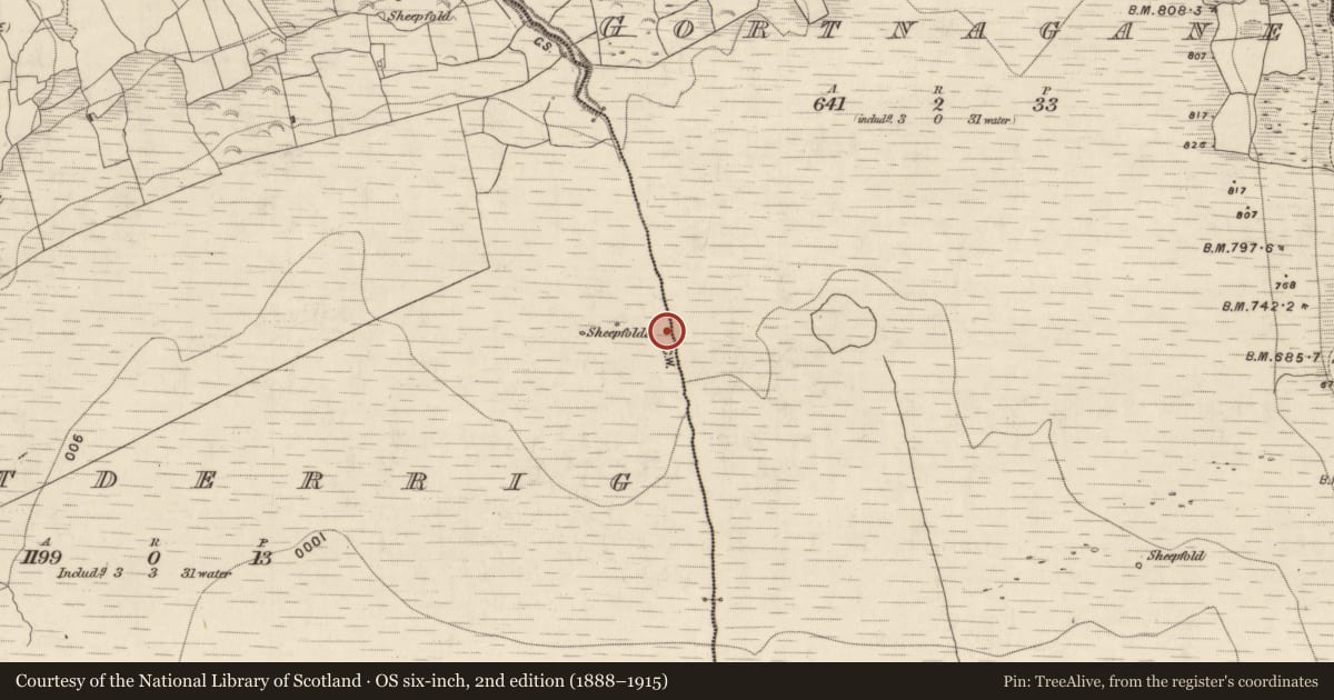 Ordnance Survey six-inch map, 2nd edition (1888–1915) covering the location of Field boundary, Gortderrig, Gortnagane, County Kerry, with a pin at the register's coordinates