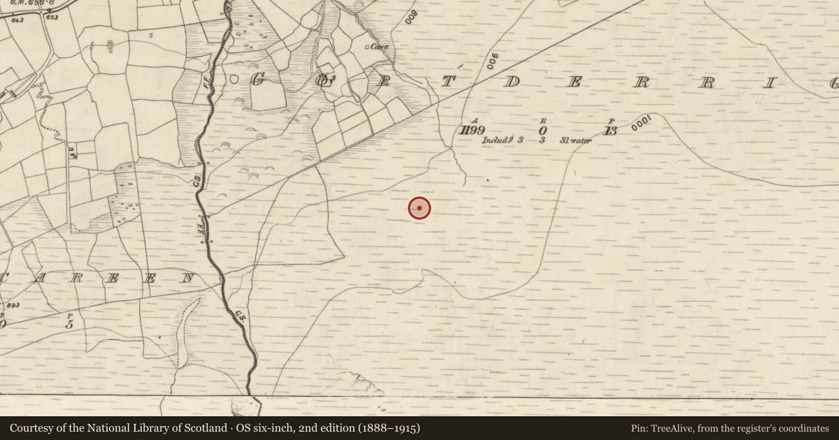 Ordnance Survey six-inch map, 2nd edition (1888–1915) covering the location of Hut site, Gortderrig, County Kerry, with a pin at the register's coordinates