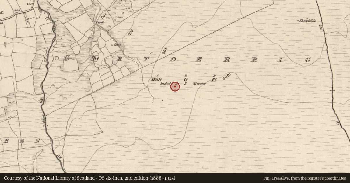 Ordnance Survey six-inch map, 2nd edition (1888–1915) covering the location of Standing stone, Gortderrig, County Kerry, with a pin at the register's coordinates