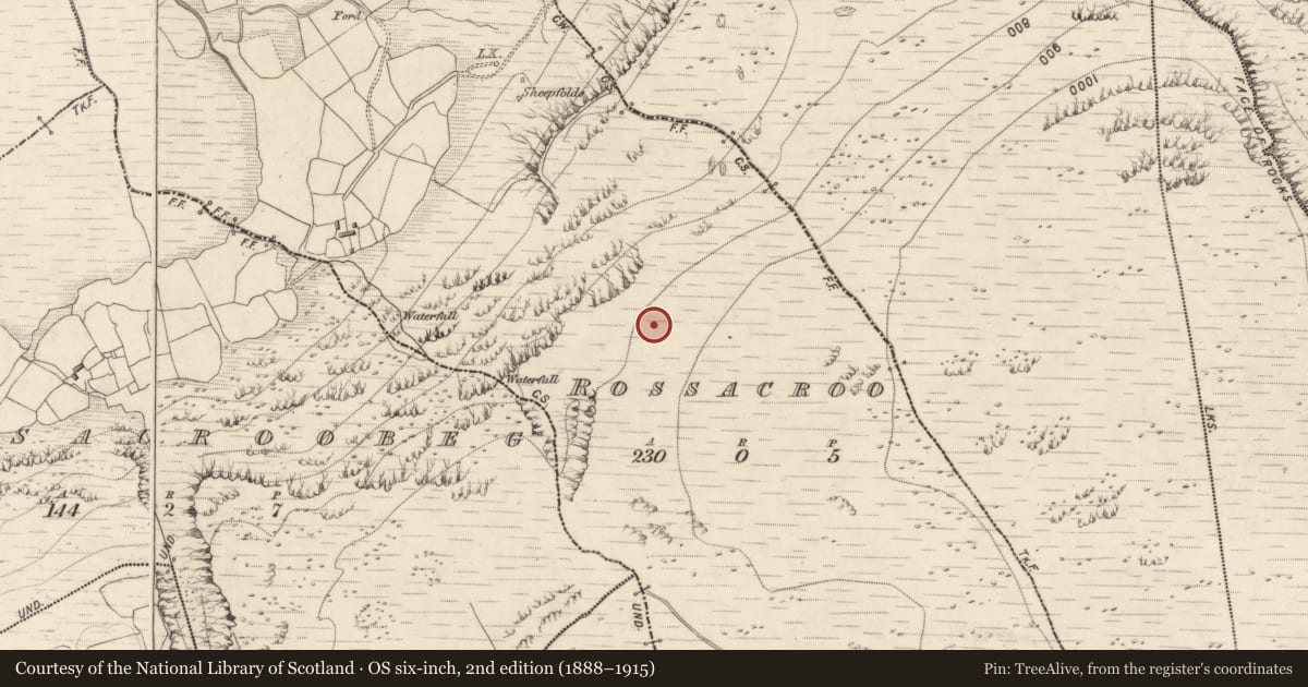 Ordnance Survey six-inch map, 2nd edition (1888–1915) covering the location of Enclosure, Rossacroo, County Kerry, with a pin at the register's coordinates